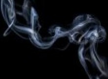 Kwikfynd Drain Smoke Testing
nulsen